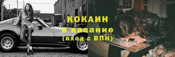 мдпв Козельск
