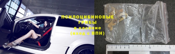 гидра Кодинск