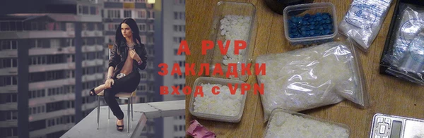 гидра Кодинск