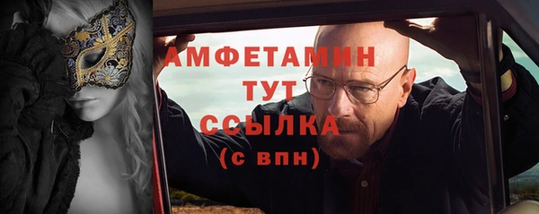 гидра Кодинск