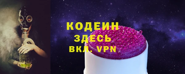 гидра Кодинск