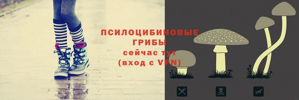 гидра Кодинск