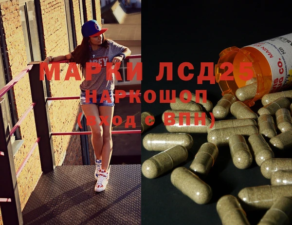 гидра Кодинск