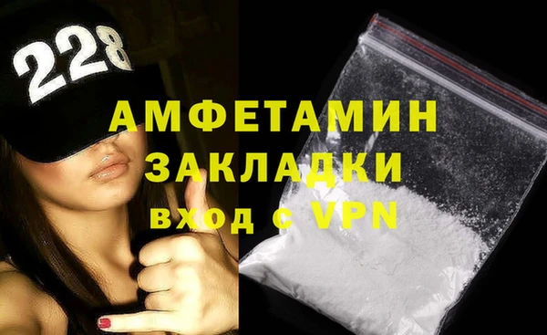 гидра Кодинск